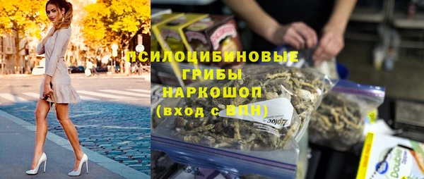молекула духа Магадан