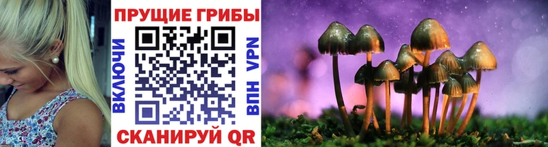 Псилоцибиновые грибы Cubensis  площадка наркотические препараты  Ермолино 